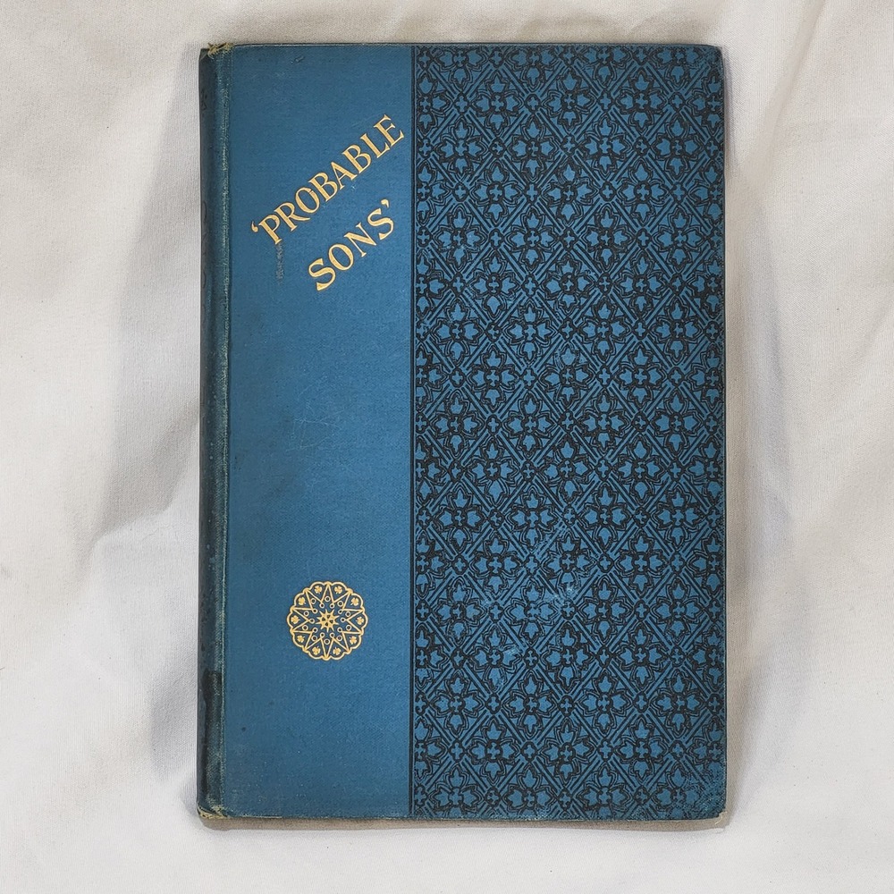 Probable Sons Amy Le Feuvre Antique 1900s Tract Society Victorian Hardcover - Picture 1 of 14